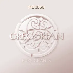 Pie Jesu (feat. Narcis)