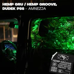 Amnezja (Hemp Groove)