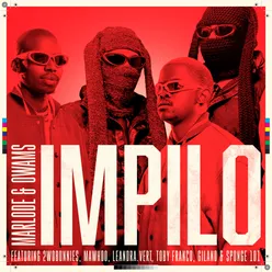 Impilo (feat. 2woBunnies, MaWhoo, Leandra.Vert, Toby Franco, Gilano & Sponge 101)