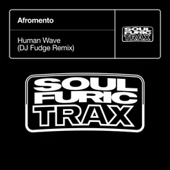 Human Wave (DJ Fudge Remix)