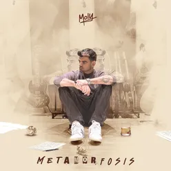 Metamorfosis