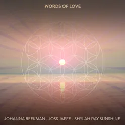 Words of Love (feat. Shylah Ray Sunshine) [Instrumental]