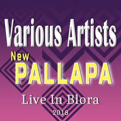 New Pallapa Live In Blora 2018