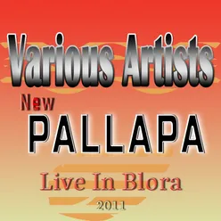 New Pallapa Live In Blora 2011