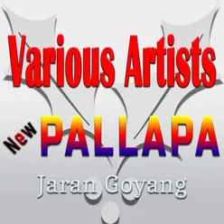 New Pallapa Jaran Goyang