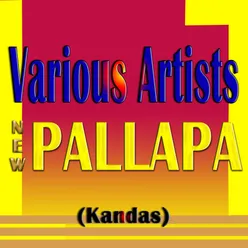 New Pallapa (Kandas)