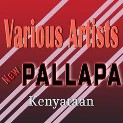 New Pallapa Kenyataan