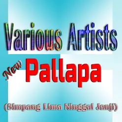 New Pallapa (Simpang Lima Ninggal Janji)