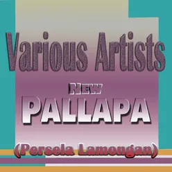 New Pallapa (Persela Lamongan)