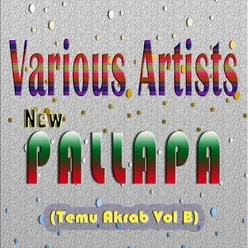 New Pallapa (Temu Akrab, Vol. B)