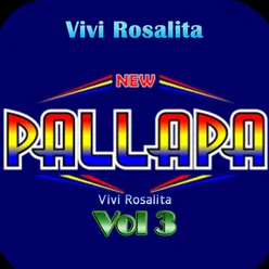 New Pallapa Vivi Rosalita, Vol. 3