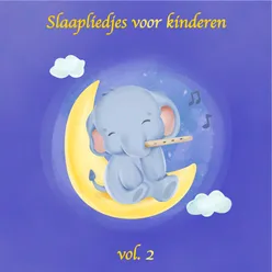 Slaapliedjes voor kinderen, vol. 2