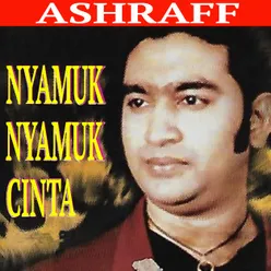 Nyamuk Nyamuk Cinta