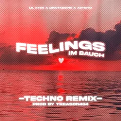 feelings im bauch (feat. treason434) [techno remix]