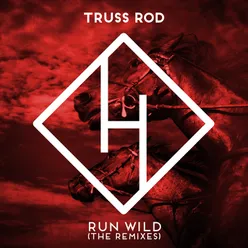 Run Wild (The Remixes)