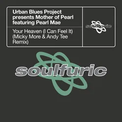 Your Heaven (I Can Feel It) [feat. Pearl Mae] [Micky More & Andy Tee Remix]