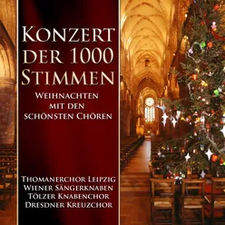 Weihnachtsoratorium, BWV 248: Pt. V: 39. "Ehre sei dir, Gott, gesungen"