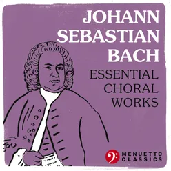 Gottlob! Nun geht das Jahr zu Ende, BWV 28: II. Nun lob', mein Seel', den Herrn (Sei Lob' und Preis mit Ehren)