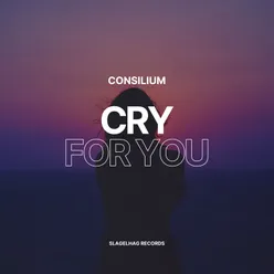 Cry For You (Techno Remix)