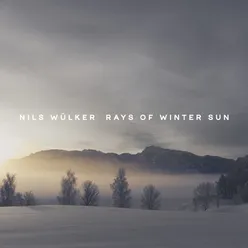 Rays of Winter Sun