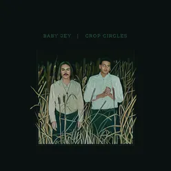 Crop Circles