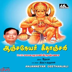 Sethu Annaikarayil