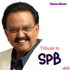 SPB Tribute