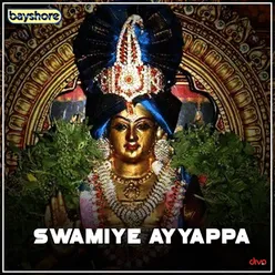 Vaarungal Ayyappa Swamigalae
