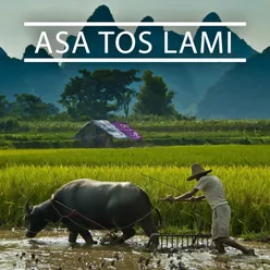 Asa Tos Lami