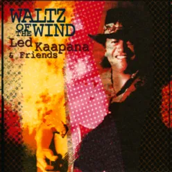 Waltz of the Wind (feat. Alison Krauss, Sam Bush)