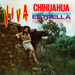 Viva Chihuahua