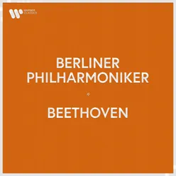 Symphony No. 2 in D Major, Op. 36: IV. Allegro molto