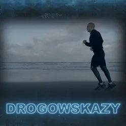 Drogowskazy