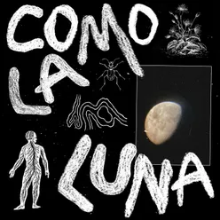 Como La Luna