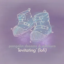 Levitating (feat. JazzyRiko) [lofi Version]