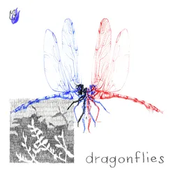 dragonflies