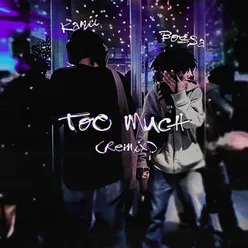 Too Much (Remix)