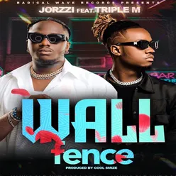 WALL FENCE (feat. TRIPLE M)