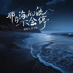 那片海的浪不會停