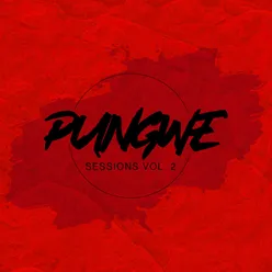 Pungwe Sessions, Vol. II (feat. Rymez)