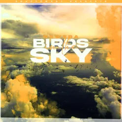 Birds In The Sky