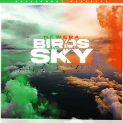 Birds In The Sky