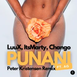 Punani (feat. AG) [Peter Kristensen Remix ]