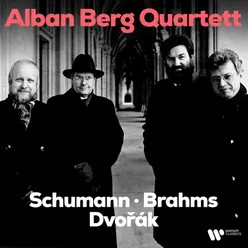 String Quartet No. 2 in A Minor, Op. 51 No. 2: I. Allegro non troppo