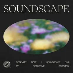Soundscape 003 | Serenity Now