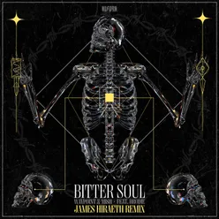 Bitter Soul (feat. brodie)