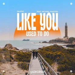 Like You Used To Do (feat. Michael Hausted)