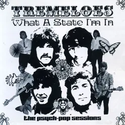 What a State I'm In: The Psych-Pop Sessions