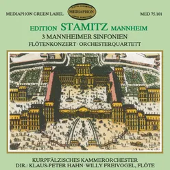 Flute Concerto in G Major, Op. 29: II. Andante non troppo moderato