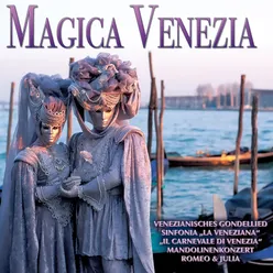 Sinfonia veneziana in D Major: II. Andantino grazioso